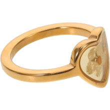 Vergoldeter Herzring mit handgefertigter Trockenblumenverzierung, Statement-Ring aus gepressten Blumen