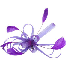 Handgefertigter Braut-Haarschmuck aus Netzfedern – Elegantes Design
