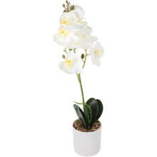 Künstliche Phalaenopsis im Topf, künstliche kleine Bonsai-Pflanze, weißes PP-Material, farbecht, dekorativ