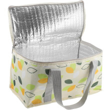 Isolierte Lunchtasche für Männer, Frauen, Jungen und Mädchen, Bento-Tasche mit Tragegriff für Speisen