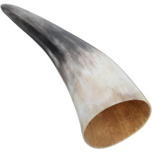Wandvase aus Naturhorn, authentisches Ochsenhorn, einzigartiges Dekorationsobjekt