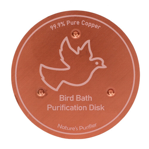 Kupfer-Disk-Vogelbad, 99,99% Cu, 40 g, 10  10  0,8 cm 2