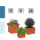 Rustic Carbon Steel Planter Set - 3 Sizes 6
