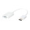 DisplayPort-zu-VGA-Adapter 1