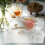 Transparent Tea Bag Holder with Lid 1 Pack 2