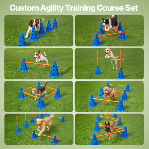 Skylos Dog Agility Training Set Hurdle Cone Kit Height Adjustable Storage Bag 1