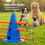 Skylos Dog Agility Training Set Hurdle Cone Kit Height Adjustable Storage Bag 3