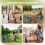 Skylos Dog Agility Training Set Hurdle Cone Kit Height Adjustable Storage Bag 6