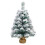 Snow-Flocked Desktop Christmas Tree with 30 Lights 2
