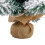 Snow-Flocked Desktop Christmas Tree with 30 Lights 5