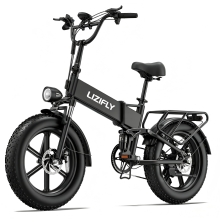 LIZIFLY T5 20" Folding Electric bike 250W 48V 13AH Full Suspension E-Bike Black
