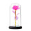 Cúpula de vidro Rosa Eterna com luzes LED – Rosa 1