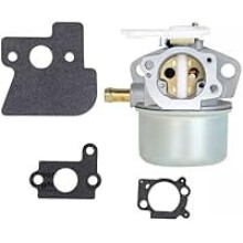 Carburateur de remplacement pour moteurs Briggs & Stratton