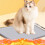 Electric Pet Heating Blanket, Fleece, Adjustable Temp, Auto 1