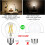 A15 LED Bulb E26 Base 4000K 6W Pack of 6 2