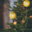 Gold Glitter Christmas Tree Ornaments 12 Pack 2