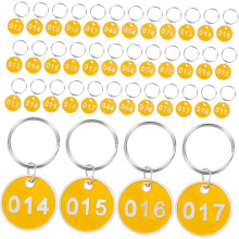 Seto de etiquetas de identificação de bagagem de metal amarelo, etiquetas numeradas de anel de chave 1-100, placas de armazenamento de alumínio