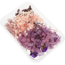 Natural Dried Flower Craft Making Accessories for DIY Decorative and Manicure Decor