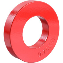 Cast Iron Plate Weight Lifting Plate Paint in Forearm Strengthener Hand Grip Training