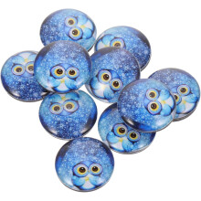 10er-Set dekorative Kühlschrankmagnete in Eulenform, kreative runde Kühlschrankmagnete aus Kunstharz