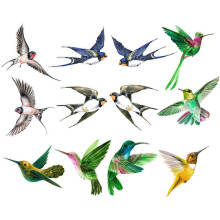12 Blatt PVC-Fensterfolie zum Schutz vor Vogelschlag, dekorativ