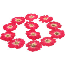 Wunderschönes rotes Zubehör für Trockenblumenbastelarbeiten, 12 Stück, künstliche Rosenknospen