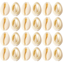 150 Stück natürliche Muscheldekorationen, DIY-Bastelmaterial, nicht porös, 16-18 mm Muscheln