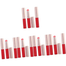 15-teiliges Set Lippenpinsel-Applikatoren für Damen, Lippenstiftpinsel und Lipgloss-Applikatoren für Reise-Make-up für Mädchen