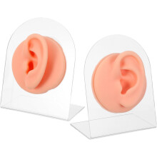 Gesimuleerd oormodel voor piercingoefeningen en het tonen van oorbellen. Realistische siliconen mal voor de anatomie van het binnenoor.