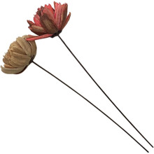 2er-Set Trockenblumen-Dekorationsstrauß, elegant, naturgetreu, rosa-beige, Dekoration für Zuhause und Büro
