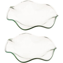 2 Stück robuste Glasschalen für ätherische Öle, geeignet für Aromatherapie und Räucherlampen