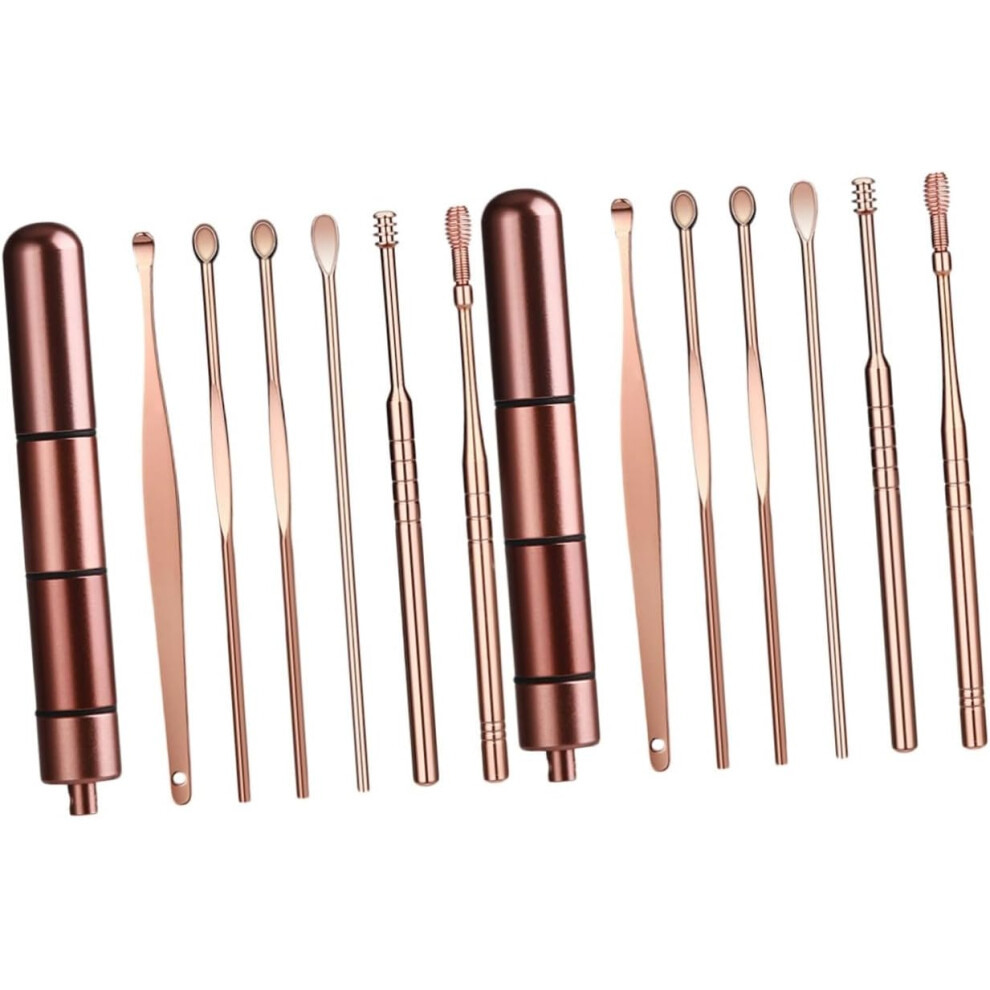 Hkhbjs 12Pcs Portable Spiral Ear Spoon Stainless Steel Ear Pick For Care Cleaner Tool Storage Box