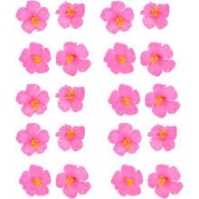 20 künstliche Blumen, Partyzubehör, rosa Hibiskusblüten (Eva), leuchtende, schöne Farben, Dekoration