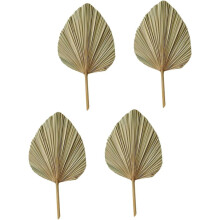 4 feuilles de palmier séchées - Ornement en feuilles de palmier - Matériau naturel - Chic, artistique, naturel