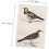 Vintage Mini Memo Collage Karten für Scrapbooking und Journaling 2