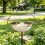 Premium Iron Construction Bird Feeder With Water Container For 5
