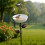Decorative Wrought Iron Duals Function Bird Feeder Tool And 6