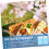2pcs Reusable Ice Multipurpose Freezer Ice Boxes 8