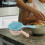2pcs Plastic Water Ladle Set with Ergonomic Handle and Sturdy Design, Thick Bathing Spoon 6