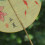 Chinese Theme Bamboos Cooling Handheld Fan With-beginning 5