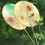 Chinese Theme Bamboos Cooling Handheld Fan With-beginning 6