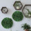 2 Pack Grass Balls Decor Artificial Topiary Ball Sphere with Realistic Appearance 5
