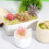 4pcs Model Foliage for Architecture and Railroad Scenery, Artificial Grass and Shrubs 7