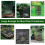 2 Count Ventilated Plant Guards Keep creepycrawlies Away-White 6