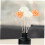 12pcs Essential Oil Diffuser Refill Rattan Reed Sticks Scented Flower Diffuser Sticks for Home Office 5