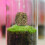 Miniature Simulation Bush Cluster 12pcs Plastic Shrub Tufts Mixed Autumn Green 4