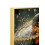 Dipinto su tela laccato con cornice e rilievi cm 623,592 2