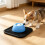 Slow Feeding Dog Bowl Interactive Lick Toy Ideal For-Blue 3
