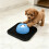 Slow Feeding Dog Bowl Interactive Lick Toy Ideal For-Blue 6