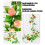 2Pcs Simulation Fruit Vine Decoration With Realistic-Fruits A 3